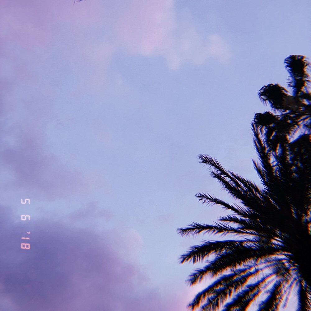 Meet your Posher, Tanya